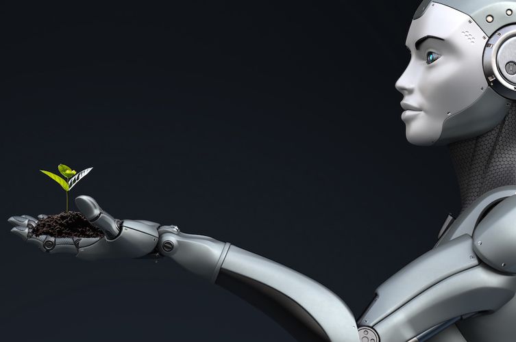 Robot holding a Seedling