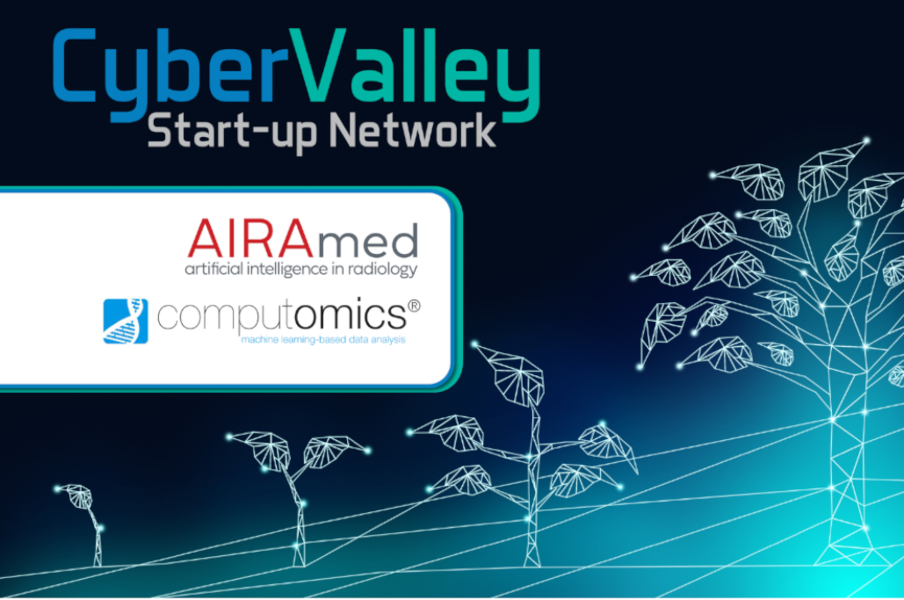 Cyber Valley