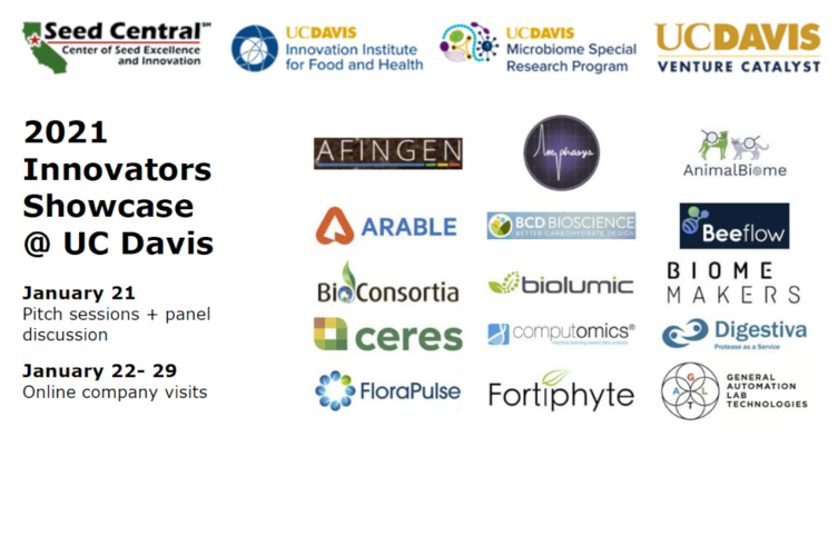 European AI Landscape 2020