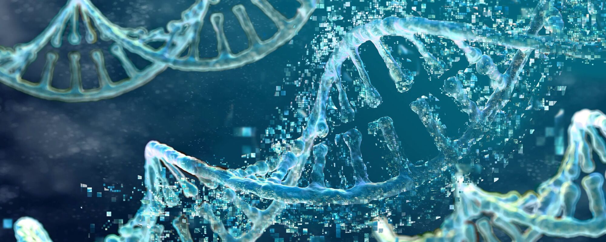 cell header