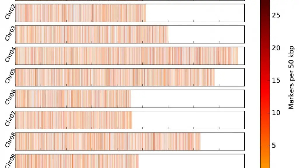 Visualization of identified markers across chromosomes